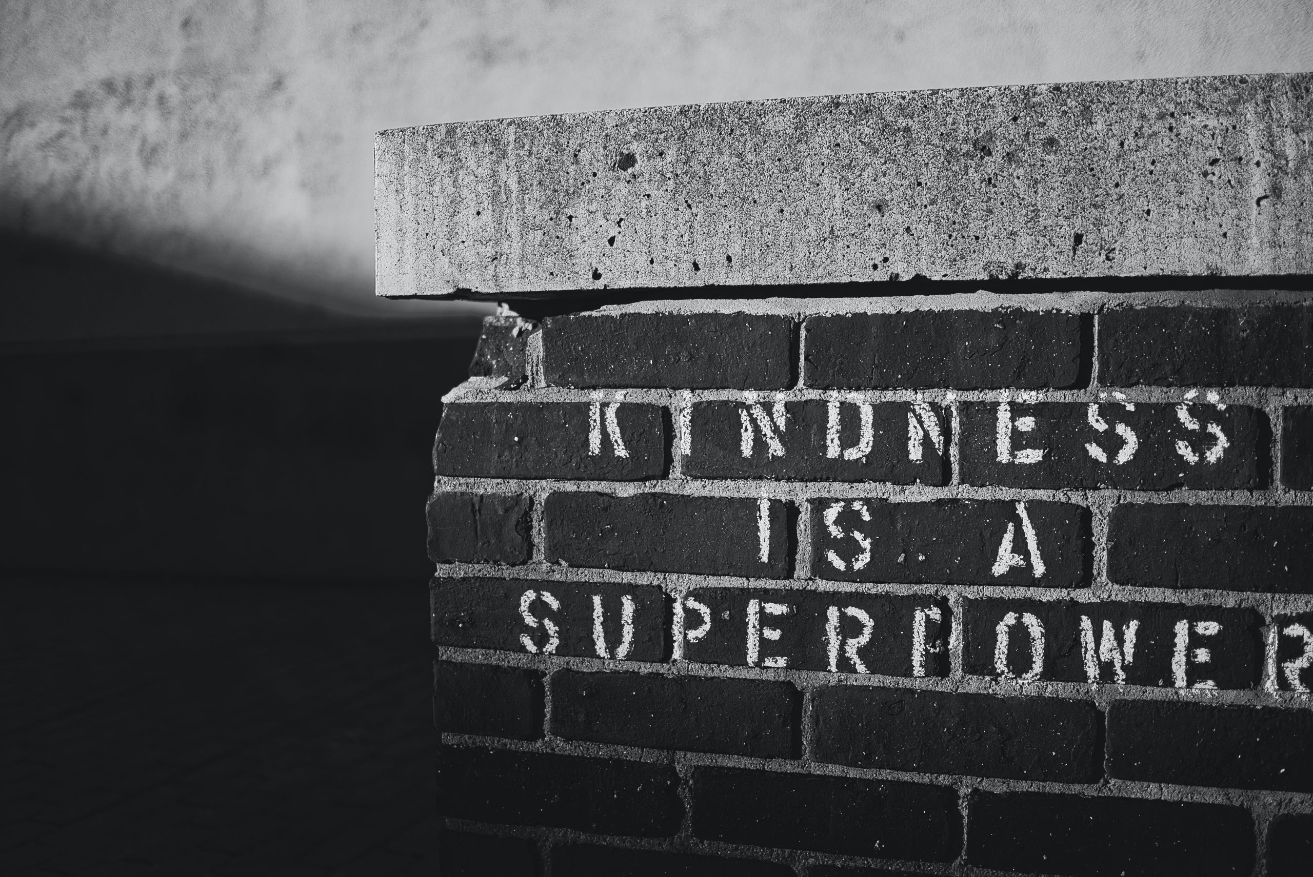 andrew-thornebrooke-WRAHkIAr2_E-unsplash compassion jivamukti